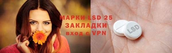 индика Алзамай