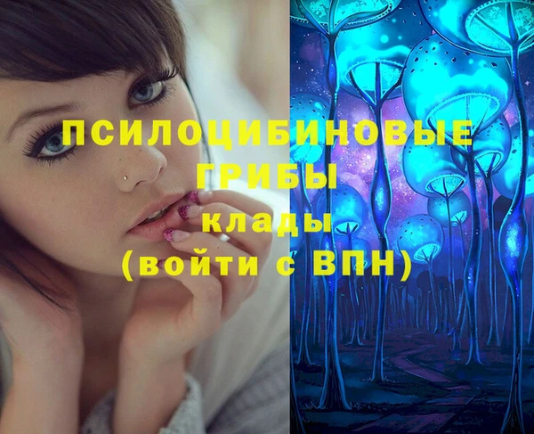 СК Алексеевка