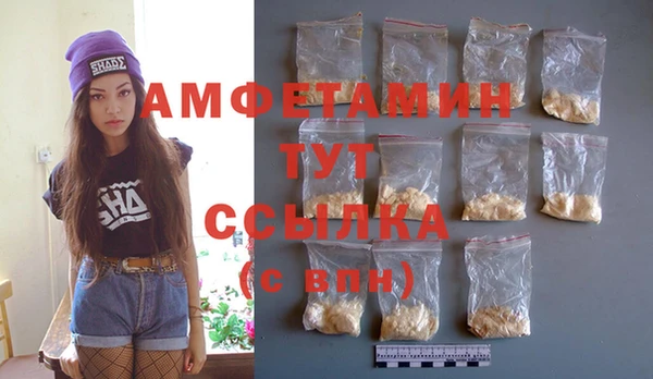 индика Алзамай