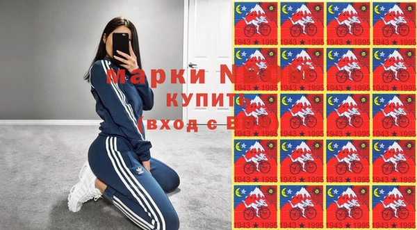 индика Алзамай
