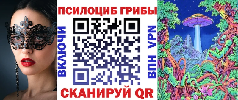 блэк спрут вход  Печоры  Псилоцибиновые грибы Psilocybe 